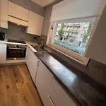 Het Gezellige Nest Bij De Schildpad *