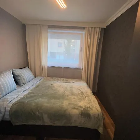 Het Gezellige Nest Bij De Schildpad Daire