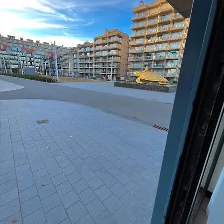 Het Gezellige Nest Bij De Schildpad Daire Nieuwpoort