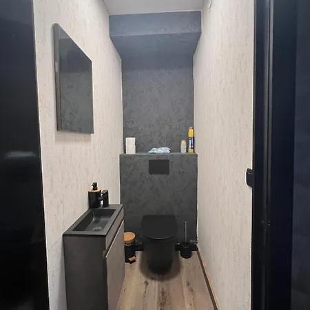 Het Gezellige Nest Bij De Schildpad *