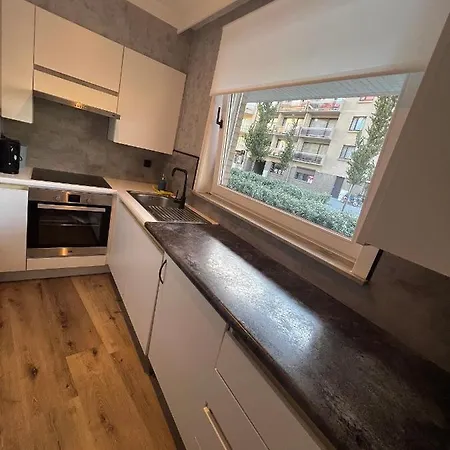 Het Gezellige Nest Bij De Schildpad *